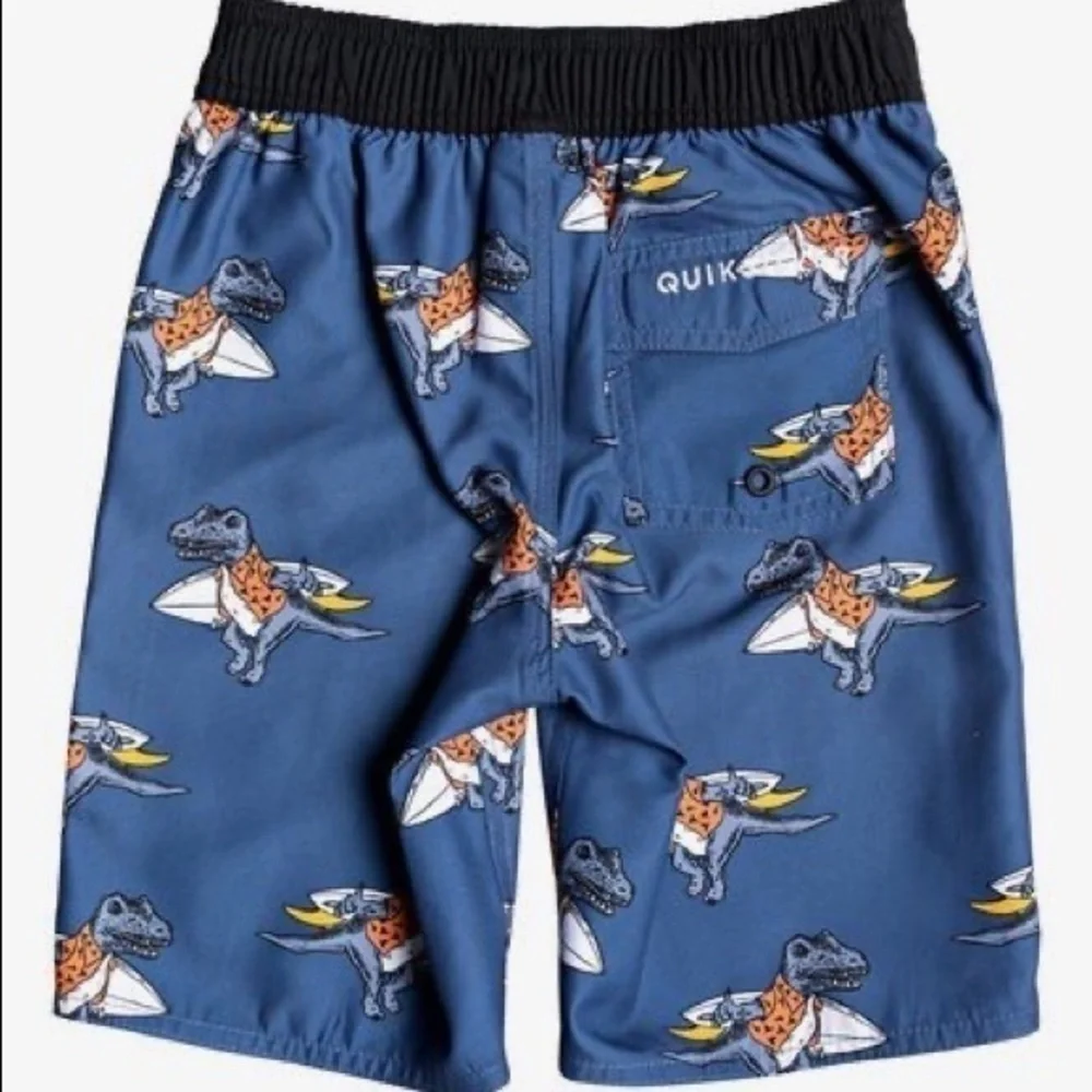 Quiksilver boy dinos